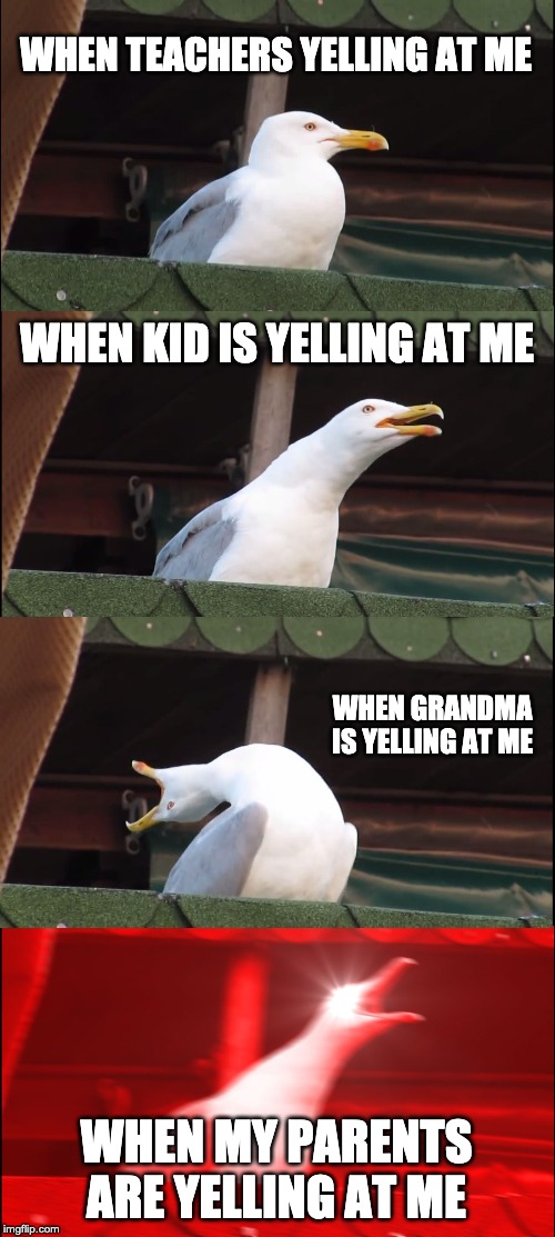 Inhaling Seagull Meme | WHEN TEACHERS YELLING AT ME; WHEN KID IS YELLING AT ME; WHEN GRANDMA IS YELLING AT ME; WHEN MY PARENTS ARE YELLING AT ME | image tagged in memes,inhaling seagull | made w/ Imgflip meme maker