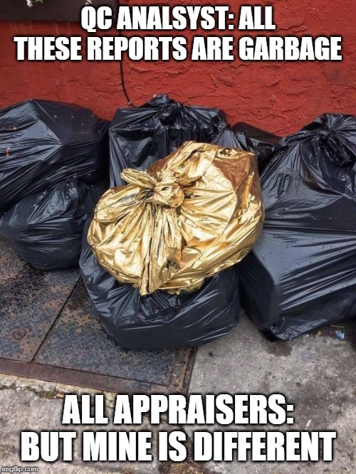 Golden Trash Bag | QC ANALSYST: ALL THESE REPORTS ARE GARBAGE; ALL APPRAISERS: BUT MINE IS DIFFERENT | image tagged in golden trash bag | made w/ Imgflip meme maker