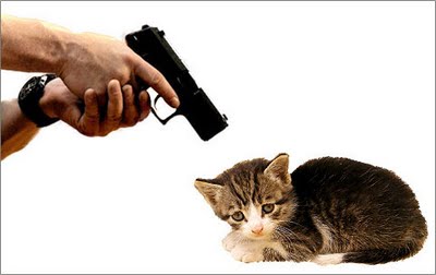 Or i will shoot this cat Blank Meme Template