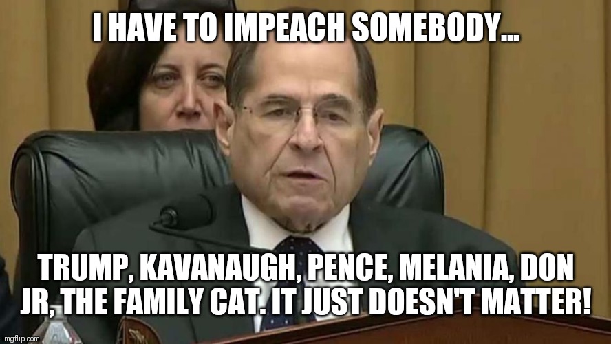 Rep. Jerry Nadler | I HAVE TO IMPEACH SOMEBODY... TRUMP, KAVANAUGH, PENCE, MELANIA, DON JR, THE FAMILY CAT. IT JUST DOESN'T MATTER! | image tagged in rep jerry nadler | made w/ Imgflip meme maker