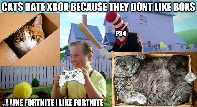 Cats Hate Boxs So They Hate XBOX | CATS HATE XBOX BECAUSE THEY DONT LIKE BOXS; PS4; I LIKE FORTNITE I LIKE FORTNITE | image tagged in cat in the hat with a bat ______ colorized,xbox vs ps4,box cat | made w/ Imgflip meme maker