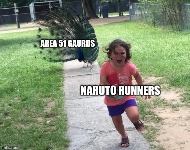 Peacock chasing kid | AREA 51 GAURDS; NARUTO RUNNERS | image tagged in peacock chasing kid | made w/ Imgflip meme maker