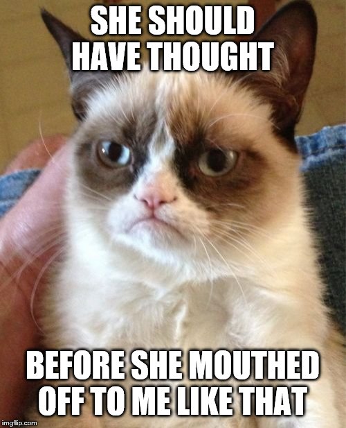 Grumpy Cat Meme | SHE SHOULD HAVE THOUGHT BEFORE SHE MOUTHED OFF TO ME LIKE THAT | image tagged in memes,grumpy cat | made w/ Imgflip meme maker