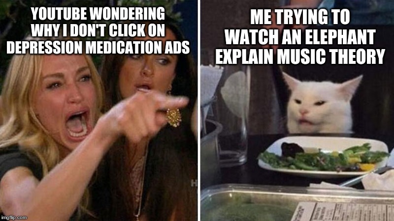 Does YouTube know something I don't...? | ME TRYING TO WATCH AN ELEPHANT EXPLAIN MUSIC THEORY; YOUTUBE WONDERING WHY I DON'T CLICK ON DEPRESSION MEDICATION ADS | image tagged in woman yelling at cat | made w/ Imgflip meme maker