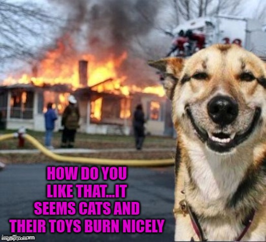 HOW DO YOU LIKE THAT...IT SEEMS CATS AND THEIR TOYS BURN NICELY | made w/ Imgflip meme maker