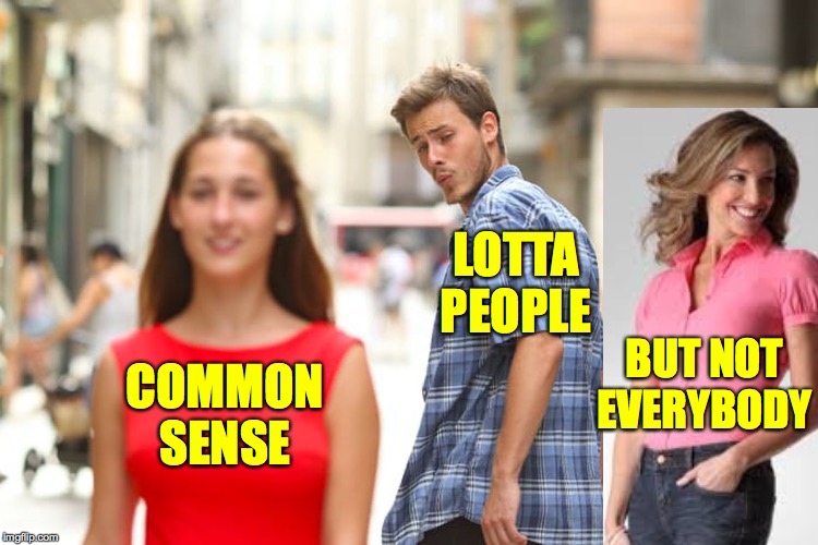 Distracted Boyfriend Meme | COMMON SENSE LOTTA PEOPLE BUT NOT EVERYBODY | image tagged in memes,distracted boyfriend | made w/ Imgflip meme maker
