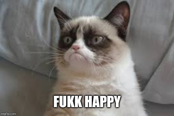 Grumpy cat | FUKK HAPPY | image tagged in grumpy cat | made w/ Imgflip meme maker