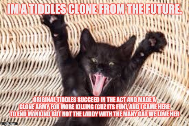 Arms out | IM A TIDDLES CLONE FROM THE FUTURE. ORIGINAL TIDDLES SUCCEED IN THE ACT AND MADE A CLONE ARMY FOR MORE KILLING (CUZ ITS FUN), AND I CAME HER | image tagged in arms out | made w/ Imgflip meme maker
