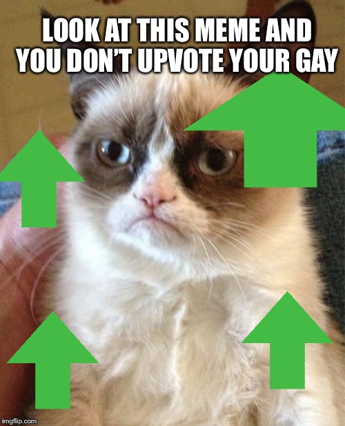 Grumpy Cat Meme | LOOK AT THIS MEME AND YOU DON’T UPVOTE YOUR GAY | image tagged in memes,grumpy cat | made w/ Imgflip meme maker