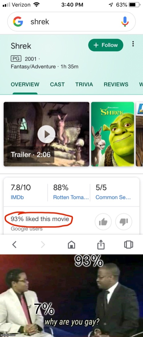 why are you gay | 7%; 93% | image tagged in why are you gay,shrek,google | made w/ Imgflip meme maker