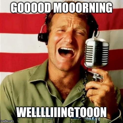 Good Morning Vietnam | GOOOOD MOOORNING; WELLLLIIINGTOOON | image tagged in good morning vietnam | made w/ Imgflip meme maker