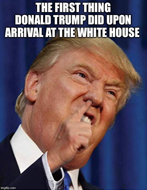 I bet you this is true | THE FIRST THING DONALD TRUMP DID UPON ARRIVAL AT THE WHITE HOUSE | image tagged in donald trump | made w/ Imgflip meme maker