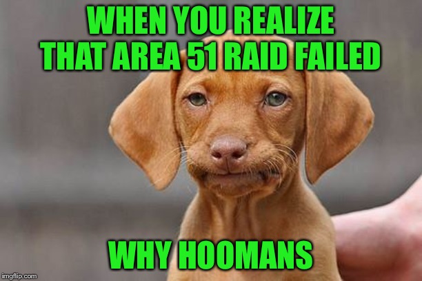 Dissapointed puppy | WHEN YOU REALIZE THAT AREA 51 RAID FAILED; WHY HOOMANS | image tagged in dissapointed puppy | made w/ Imgflip meme maker