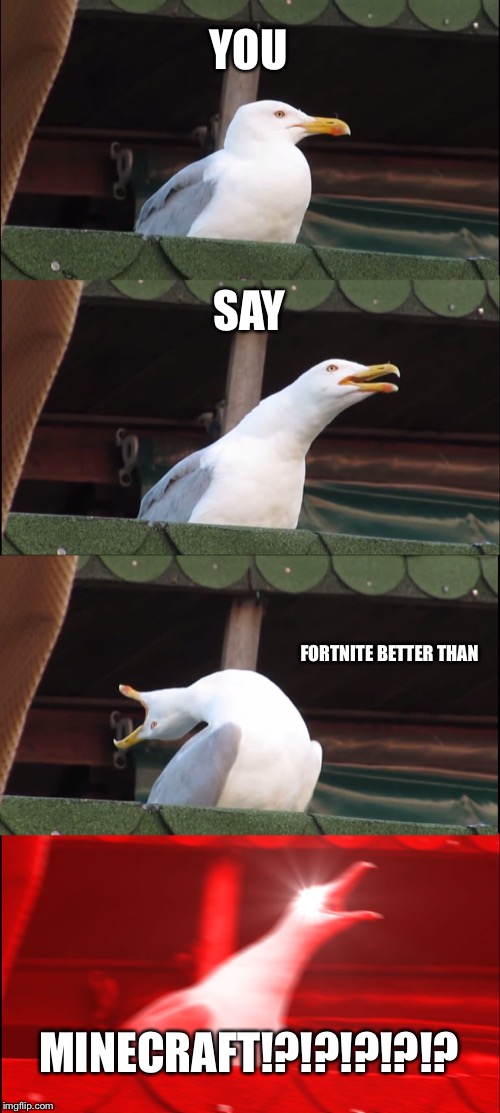 Inhaling Seagull Meme | YOU; SAY; FORTNITE BETTER THAN; MINECRAFT!?!?!?!?!? | image tagged in memes,inhaling seagull | made w/ Imgflip meme maker