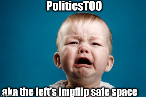 BABY CRYING | PoliticsTOO; aka the left’s imgflip safe space | image tagged in baby crying,liberal logic,politics,snowflakes,libtards | made w/ Imgflip meme maker