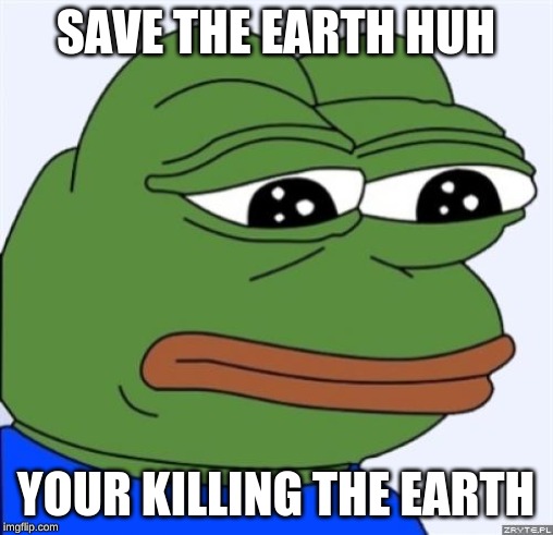 sad frog | SAVE THE EARTH HUH YOUR KILLING THE EARTH | image tagged in sad frog | made w/ Imgflip meme maker