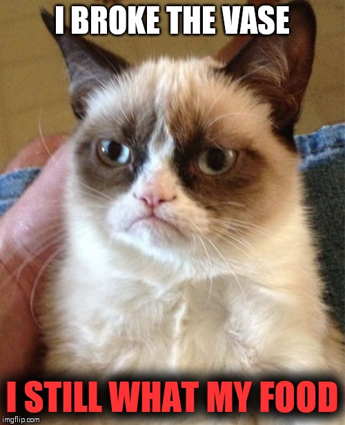 NO FOOD | I BROKE THE VASE; I STILL WHAT MY FOOD | image tagged in memes,grumpy cat | made w/ Imgflip meme maker