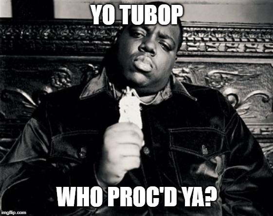 Notorious BIG | YO TUBOP; WHO PROC'D YA? | image tagged in notorious big | made w/ Imgflip meme maker