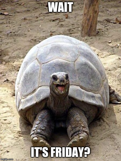 Smiling happy excited tortoise | WAIT; IT'S FRIDAY? | image tagged in smiling happy excited tortoise | made w/ Imgflip meme maker