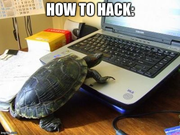 Turtle Computer | HOW TO HACK: | image tagged in turtle computer | made w/ Imgflip meme maker