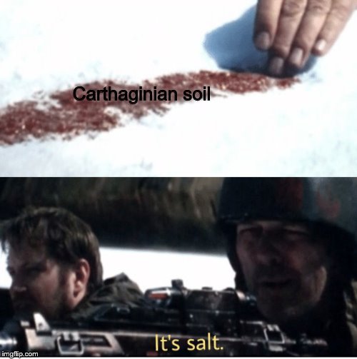 Salt | Carthaginian soil | image tagged in memes,carthage | made w/ Imgflip meme maker