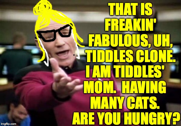 Picard Wtf Meme | THAT IS FREAKIN' FABULOUS, UH, TIDDLES CLONE. I AM TIDDLES' MOM.  HAVING MANY CATS.  ARE YOU HUNGRY? | image tagged in memes,picard wtf | made w/ Imgflip meme maker