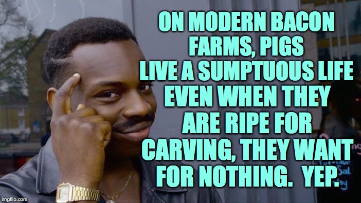 Roll Safe Think About It Meme | ON MODERN BACON FARMS, PIGS LIVE A SUMPTUOUS LIFE EVEN WHEN THEY ARE RIPE FOR CARVING, THEY WANT FOR NOTHING.  YEP. | image tagged in memes,roll safe think about it | made w/ Imgflip meme maker