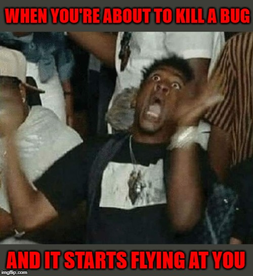 Especially if you don't know what it is!!! | WHEN YOU'RE ABOUT TO KILL A BUG; AND IT STARTS FLYING AT YOU | image tagged in oh lordy,memes,flying bugs,funny,aww hell naw,outta here | made w/ Imgflip meme maker
