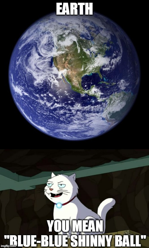 THAT DARN KATZ | EARTH; YOU MEAN "BLUE-BLUE SHINNY BALL" | image tagged in earth,cats,futurama | made w/ Imgflip meme maker