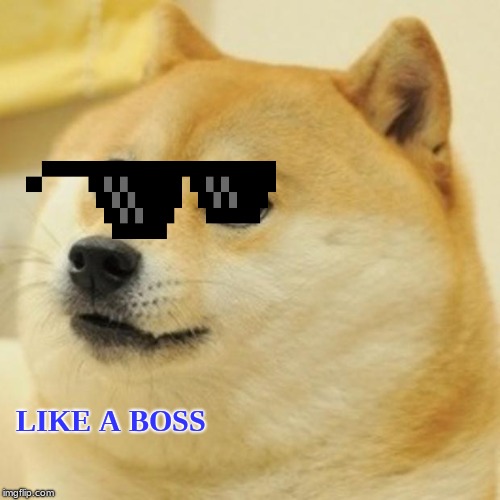 Doge | LIKE A BOSS | image tagged in memes,doge | made w/ Imgflip meme maker