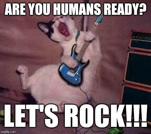Looks like this kitty's ready to rock | ARE YOU HUMANS READY? LET'S ROCK!!! | image tagged in guitar cat,cats,funny cat memes,funny memes,funny cats,memes | made w/ Imgflip meme maker