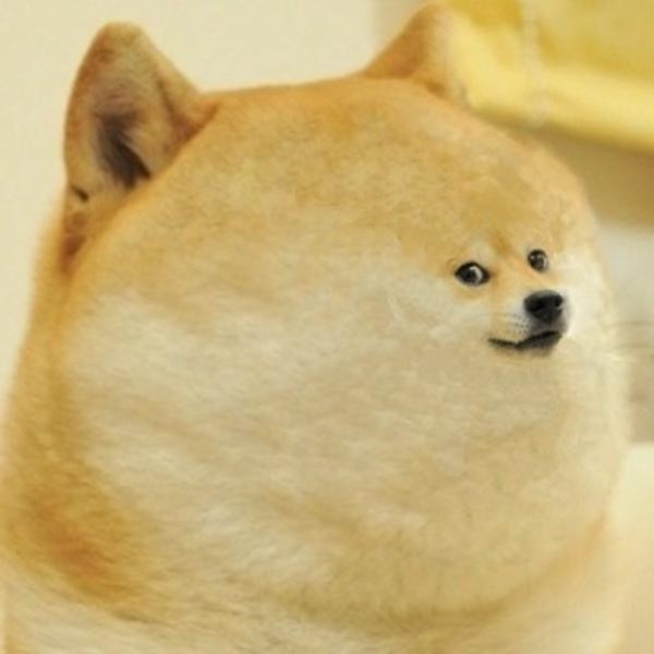 High Quality fat doge wow Blank Meme Template