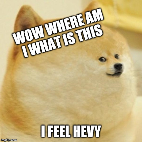 hevy doge | WOW WHERE AM I WHAT IS THIS; I FEEL HEVY | image tagged in fat doge wow | made w/ Imgflip meme maker