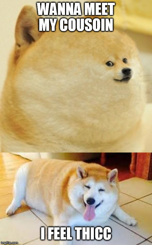 WANNA MEET MY COUSOIN; I FEEL THICC | image tagged in thicc doggo,fat doge wow | made w/ Imgflip meme maker