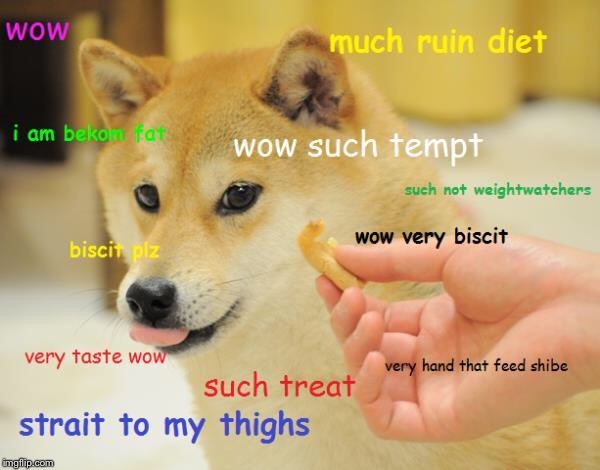 image tagged in doge | made w/ Imgflip meme maker