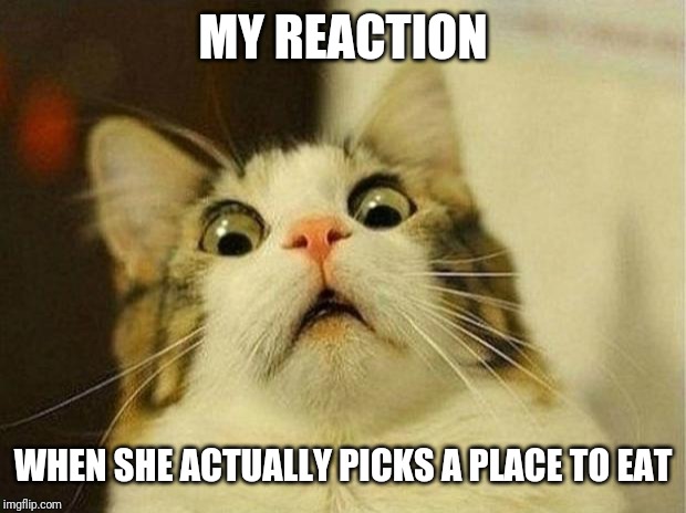 Scared Cat Meme | MY REACTION; WHEN SHE ACTUALLY PICKS A PLACE TO EAT | image tagged in memes,scared cat | made w/ Imgflip meme maker
