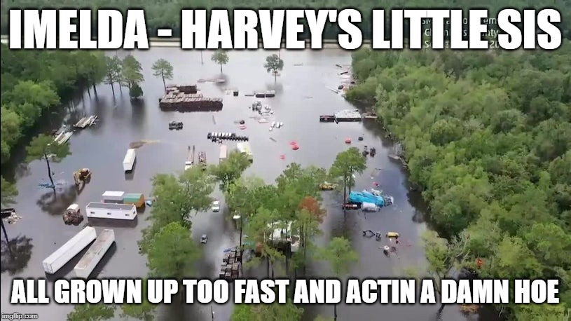 Harvey's Little Sister | IMELDA - HARVEY'S LITTLE SIS; ALL GROWN UP TOO FAST AND ACTIN A DAMN HOE | image tagged in harvey,imelda,flooding,texas,pray,hoe | made w/ Imgflip meme maker