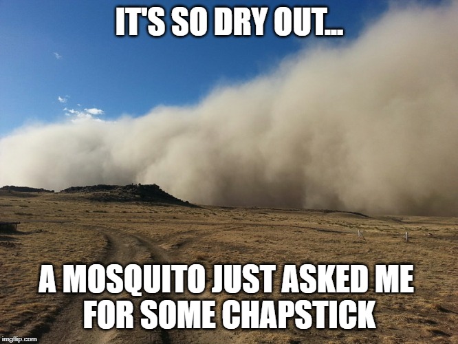 Dust storm | IT'S SO DRY OUT... A MOSQUITO JUST ASKED ME 
FOR SOME CHAPSTICK | image tagged in dust storm | made w/ Imgflip meme maker