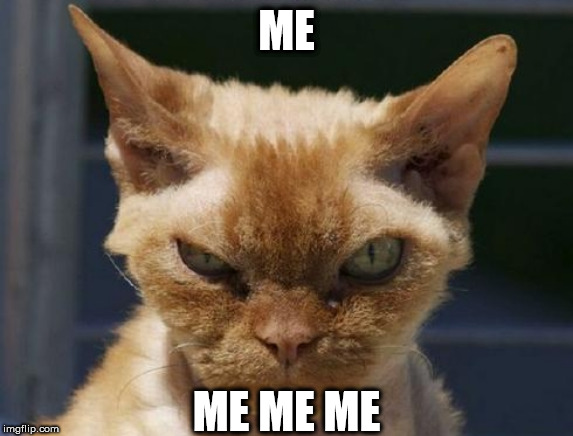 Mad Cat | ME ME ME ME | image tagged in mad cat | made w/ Imgflip meme maker
