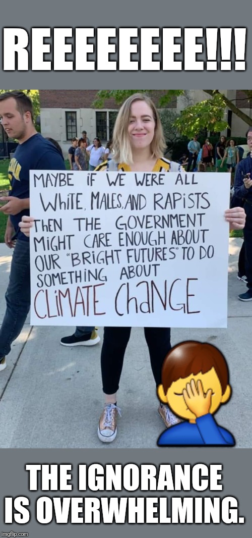 The Virtue Signaling SJW needs attention. | REEEEEEEE!!! 🤦‍♂️; THE IGNORANCE IS OVERWHELMING. | image tagged in angry sjw,virtue signalling,social justice warrior,social justice warriors,stupid liberals | made w/ Imgflip meme maker