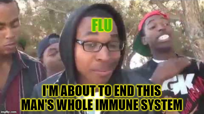 I'm about to end this man's whole career | FLU I'M ABOUT TO END THIS MAN'S WHOLE IMMUNE SYSTEM | image tagged in i'm about to end this man's whole career | made w/ Imgflip meme maker