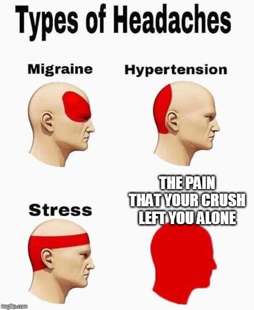 pain | THE PAIN THAT YOUR CRUSH LEFT YOU ALONE | image tagged in pain | made w/ Imgflip meme maker