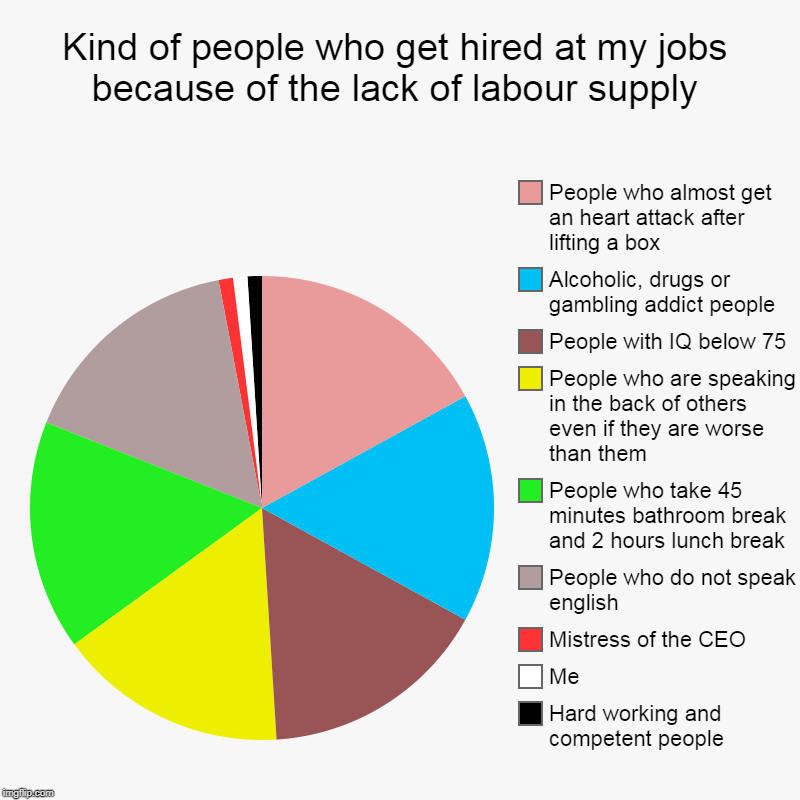 Kind of people who get hired at my jobs because of the lack of labour supply | Hard working and competent people, Me, Mistress of the CEO, P | image tagged in pie charts,incompetence,dumb,lazy,drug addiction | made w/ Imgflip chart maker