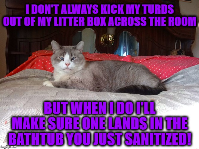 I DON'T ALWAYS | I DON'T ALWAYS KICK MY TURDS OUT OF MY LITTER BOX ACROSS THE ROOM; BUT WHEN I DO I'LL MAKE SURE ONE LANDS IN THE BATHTUB YOU JUST SANITIZED! | image tagged in i don't always | made w/ Imgflip meme maker