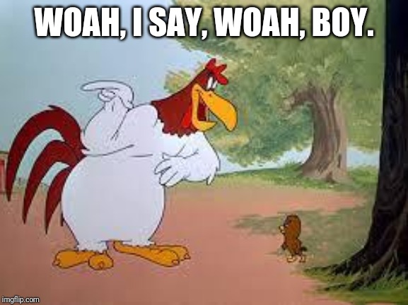 Foghorn Leghorn | WOAH, I SAY, WOAH, BOY. | image tagged in foghorn leghorn | made w/ Imgflip meme maker