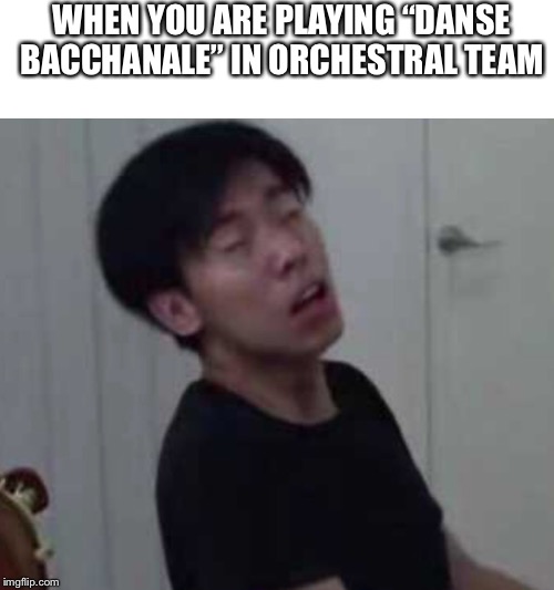 Only classical musicians knows it | WHEN YOU ARE PLAYING “DANSE BACCHANALE” IN ORCHESTRAL TEAM | image tagged in music,twosetviolin,classical music | made w/ Imgflip meme maker