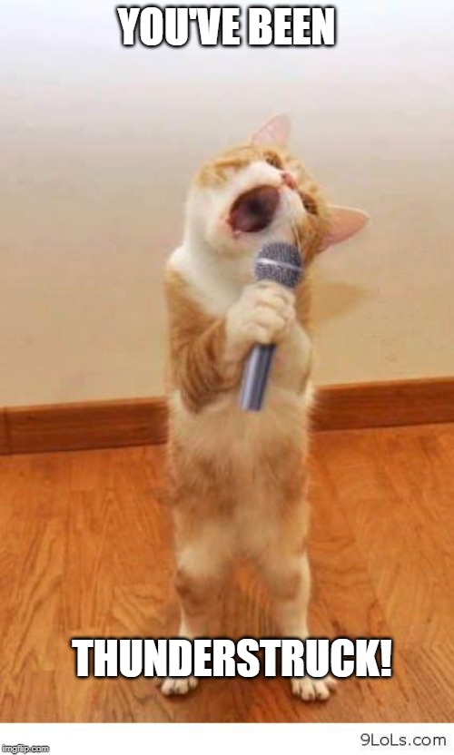 Cat Singer | YOU'VE BEEN THUNDERSTRUCK! | image tagged in cat singer | made w/ Imgflip meme maker