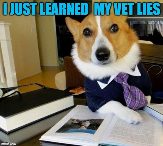 LOUD_VOICE | image tagged in loud_voice | made w/ Imgflip meme maker