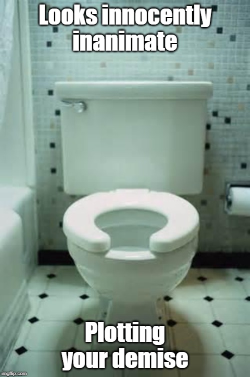 toilet | Looks innocently inanimate; Plotting your demise | image tagged in toilet | made w/ Imgflip meme maker