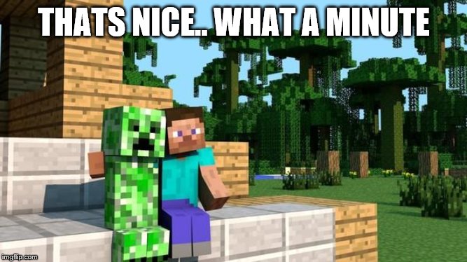 minecraft friendship | THATS NICE.. WHAT A MINUTE | image tagged in minecraft friendship | made w/ Imgflip meme maker